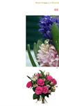 Mobile Screenshot of flora.se
